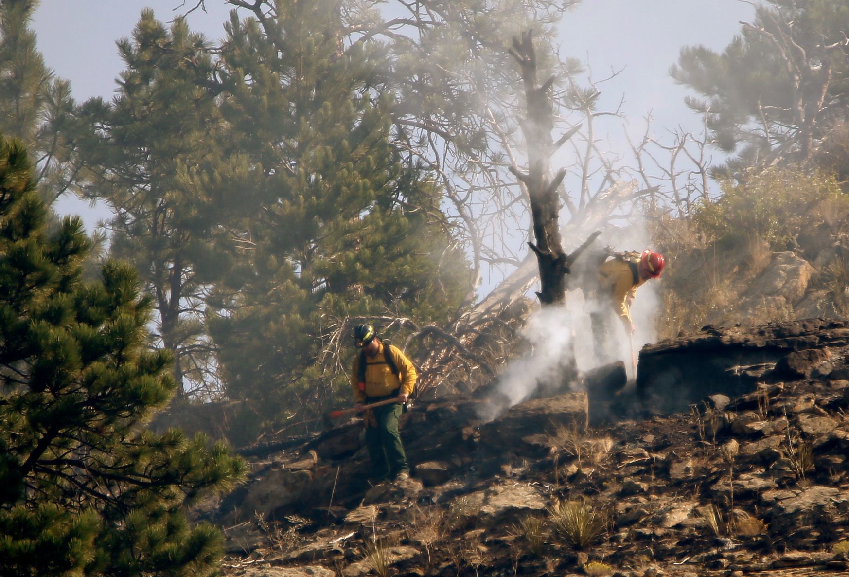 Mountain View Fire